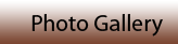 Photo Gallery