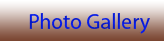 Photo Gallery